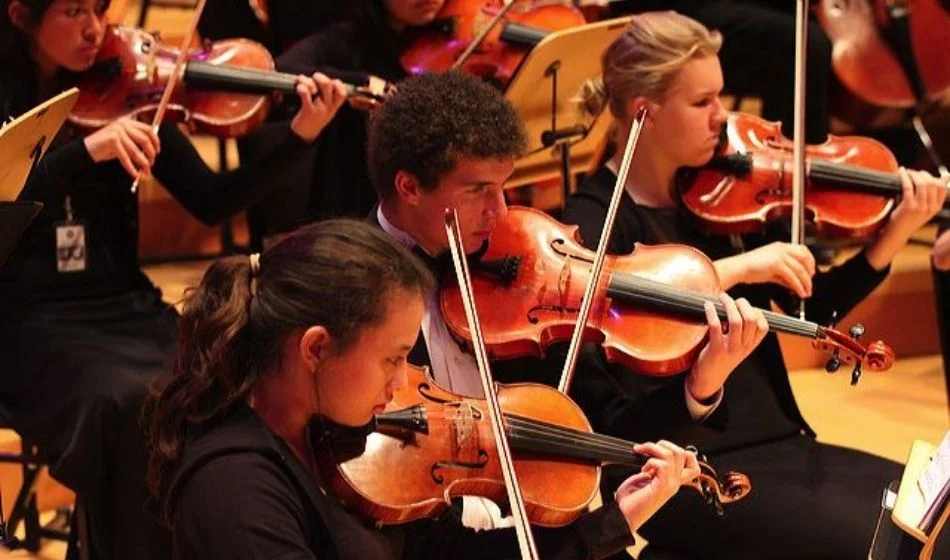 A group of people playing violins in an orchestra.